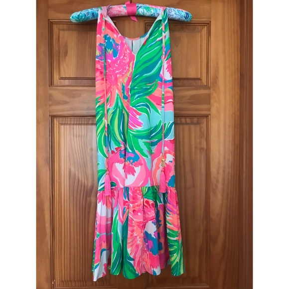 Lilly Pulitzer Isabeau Dress - Picture 3 of 4